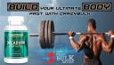 Bulking Stack Review logo